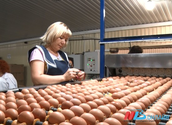 В Волгоградской области на 6,9% выросло производство куриных яиц